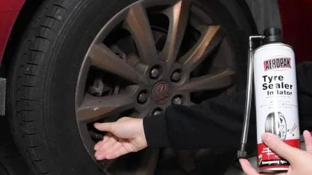 Car Tire Repair Sealer and Inflator