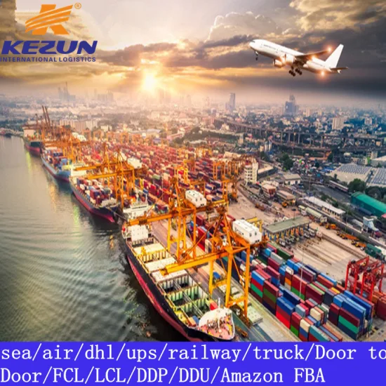 FCL LCL Logistics Freight Forwarder Sea Freight Agent From China to United Arab Emirates Africa Australia with Customs Clearance/Duty/Tax Top Shipping Company